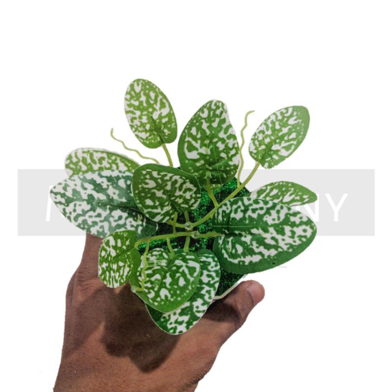 TANAMAN BUNGA ARTIFICIAL BUNGA HIAS DEKORASI HIASAN RUMAH BUNGA PLASTIK MURAH BUNGA AGLONEMA MINI-6