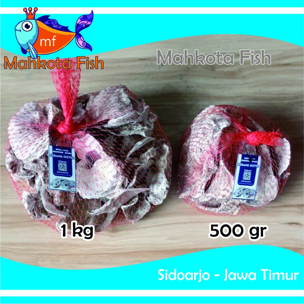 Kerang Oister (1 kg) | Cangkang Kulit | Kulit Tiram | Media Filter Aquarium Aquascape | Media Filter Kolam Ikan