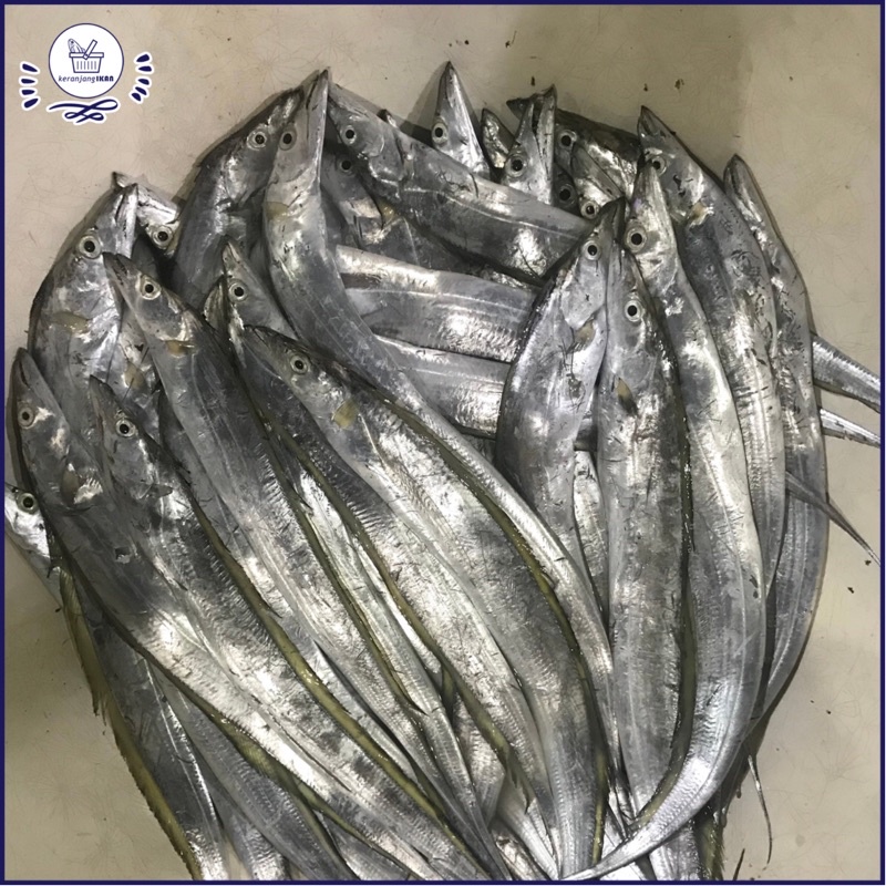 

Ikan Layur Segar 1kg