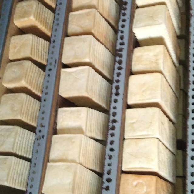 sitifitrianigarnetto