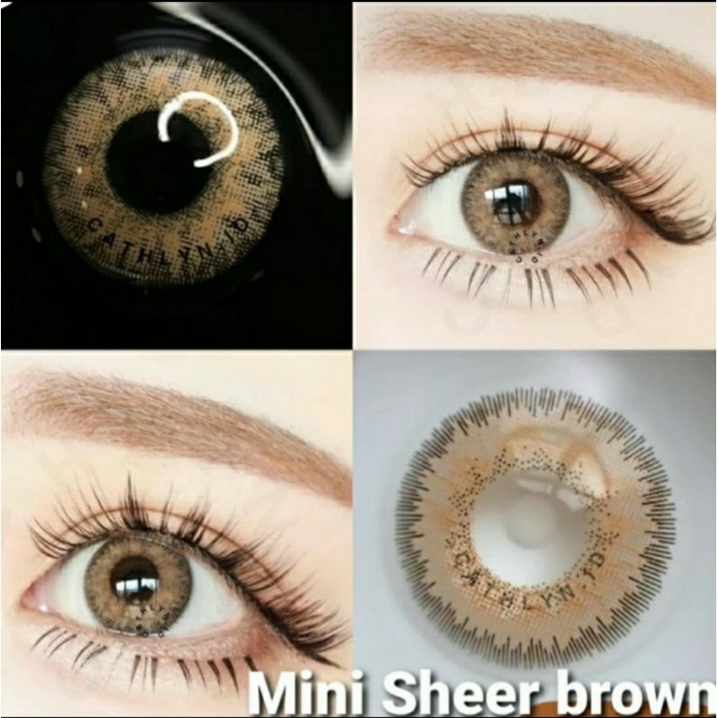 SOFTLENS MINI SHEER BROWN GREY NORMAL MINUS s.d -6.00