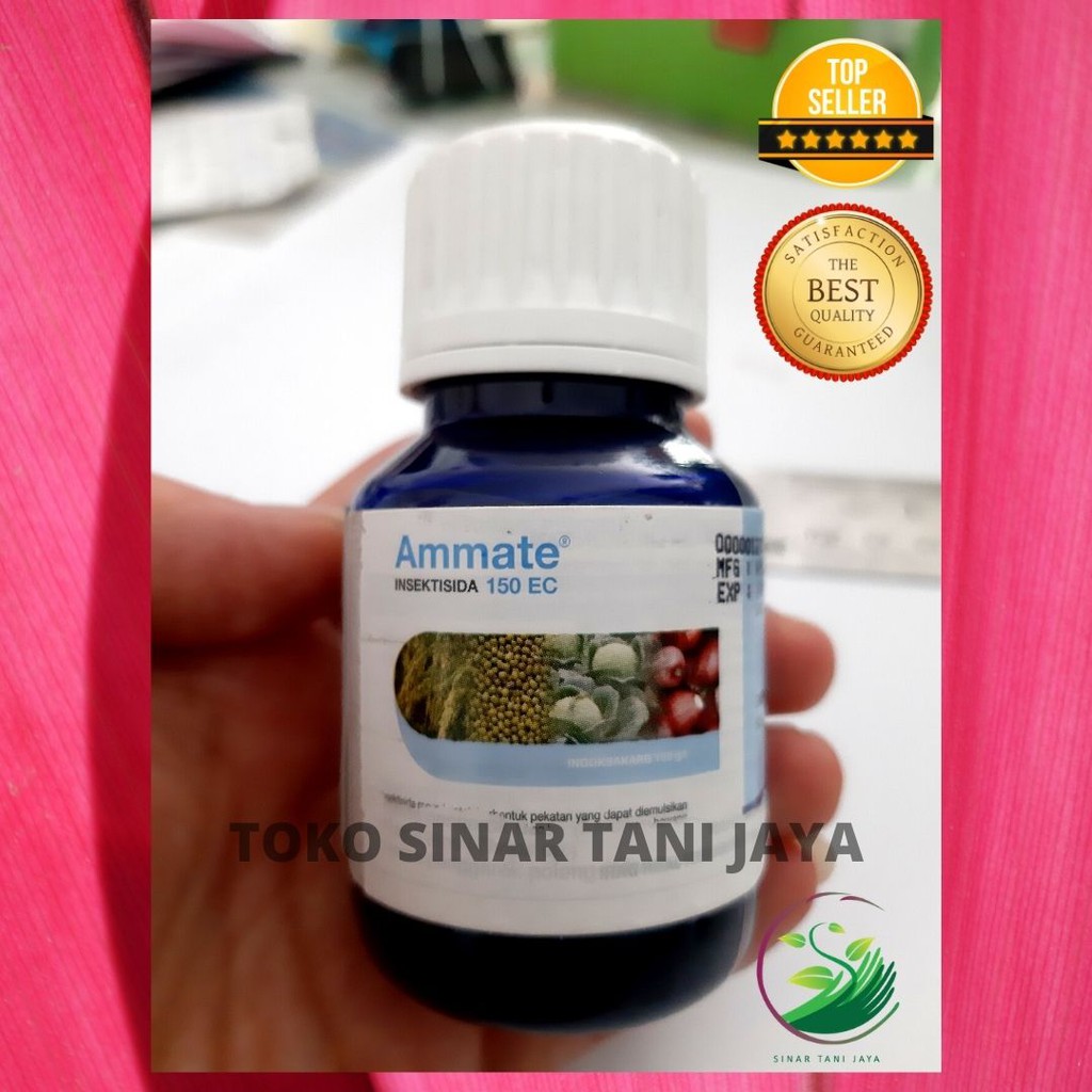 DuPont Insektisida Ammate 150EC 50ml Racun Kontak dan Lambung Indoksakarb Melindungi dari Ulat Graya