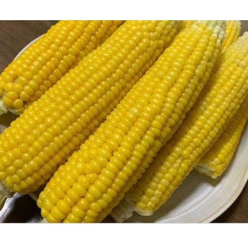 

Jagung-Manis/Kupasan/500gram-1000gram