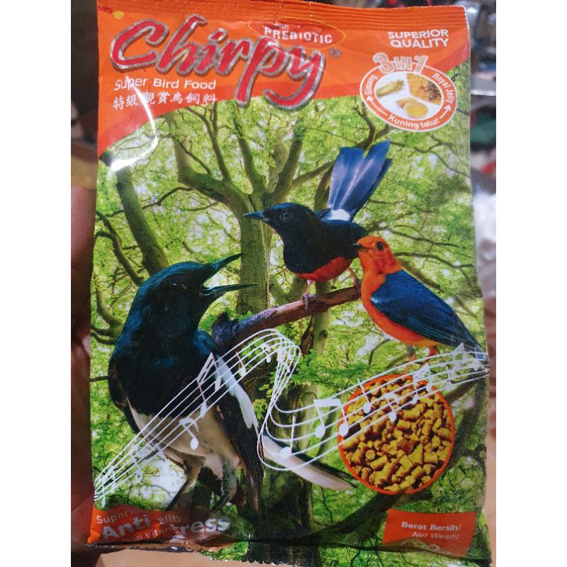 pur burung chirpy coklat