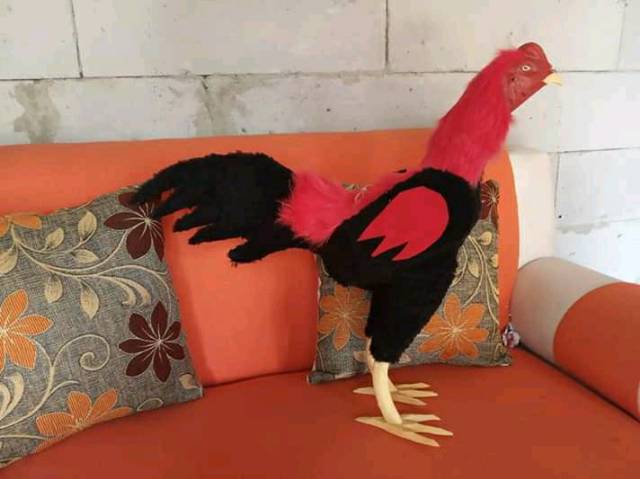 Boneka Ayam Jago Boneka Ayam Aduan Murah