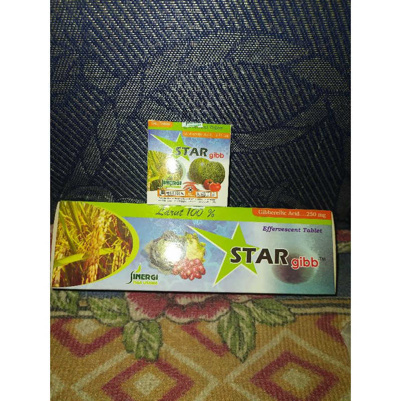 Stargib ga3 pemula pertama teman big grow biggrow