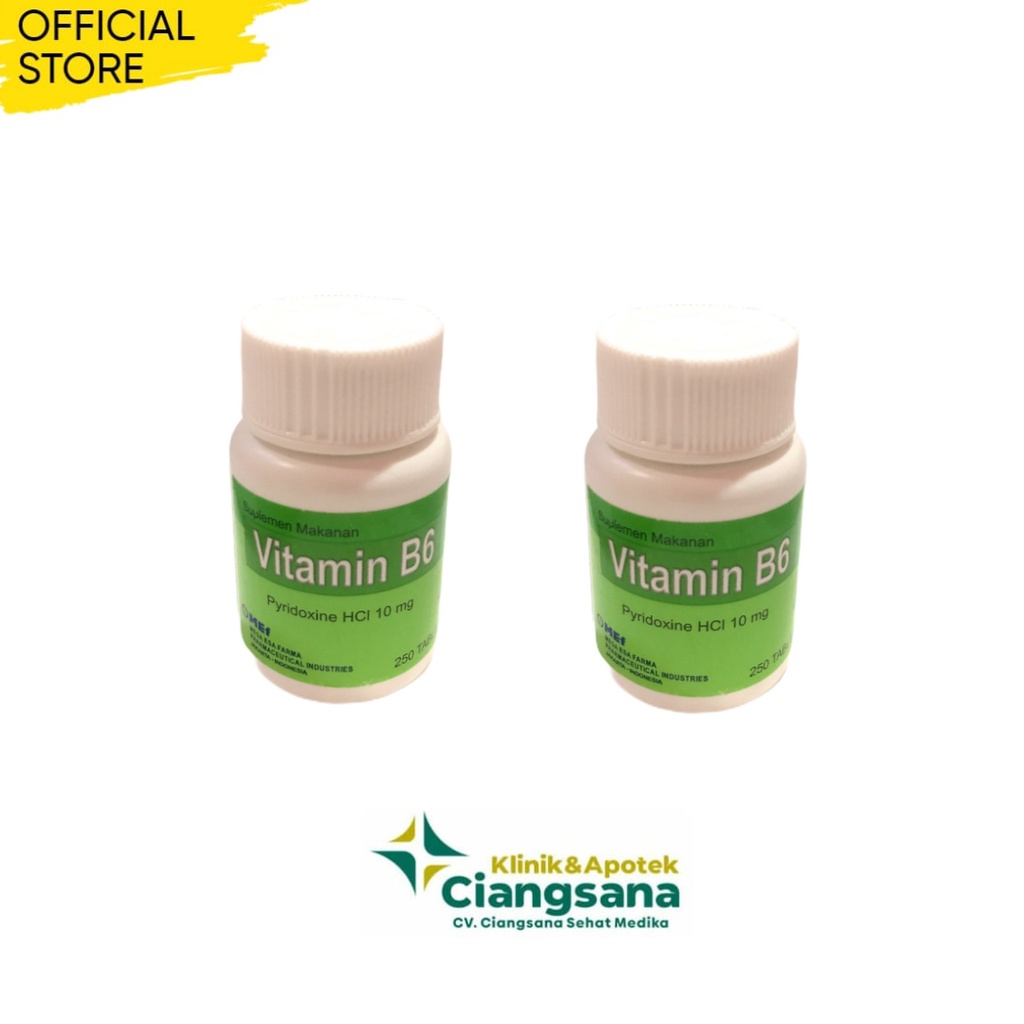 VITAMIN B6 1 BOTOL @ 250 TABLET