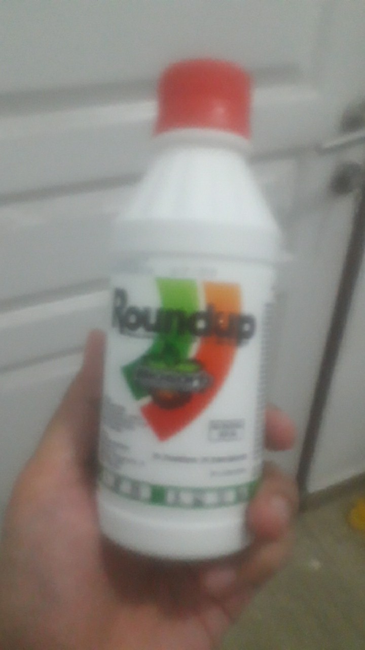 Roundup 200ml - Obat Pembasmi Rumput Round Up