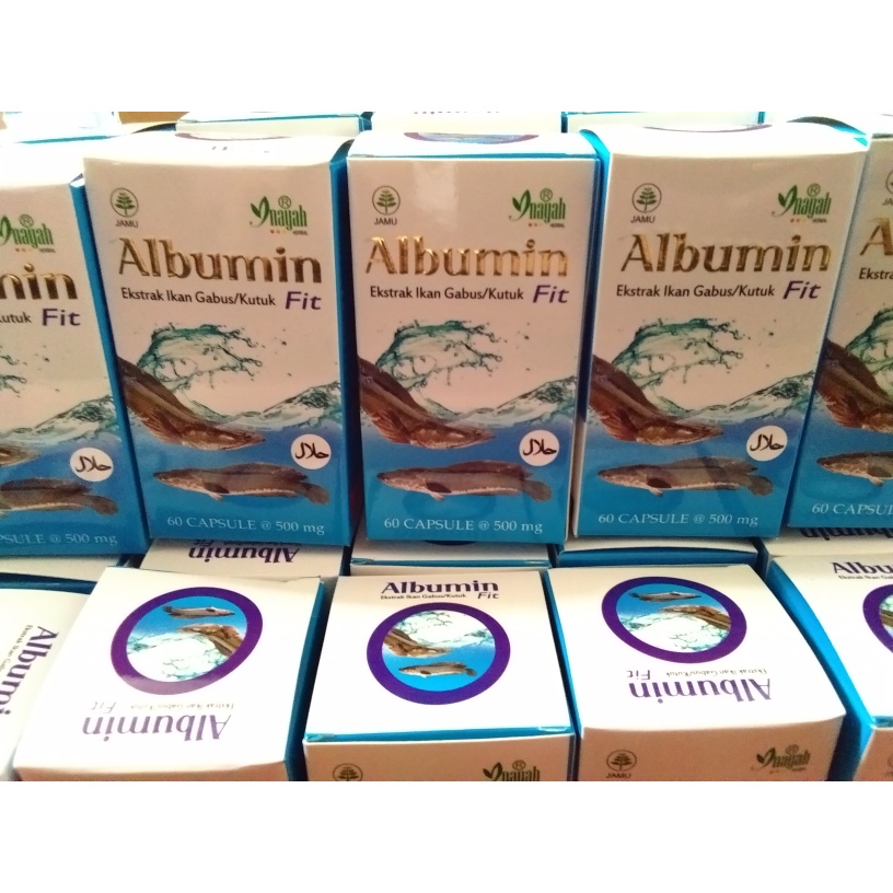 Albumin Fit / Kapsul Ikan Gabus