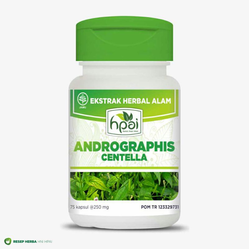 

ANDROGRAPHIS CENTELLA HNI HPAI / Kapsul Ekstrak Sambiloto-Alang-ALang-