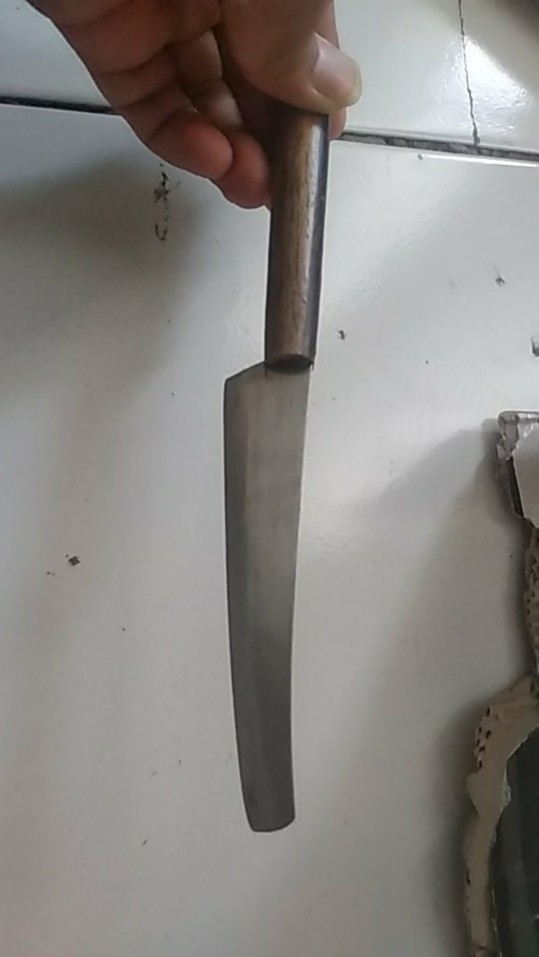 Pisau Dapur Buah Steinless Lokal Mini Gagang Kayu Murah Dramashop