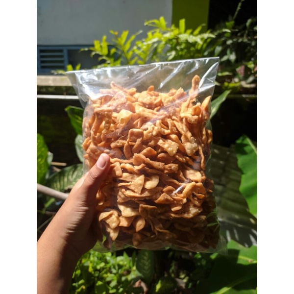 

Keripik Pangsit / Pangsit Goreng / Camilan 500 gram