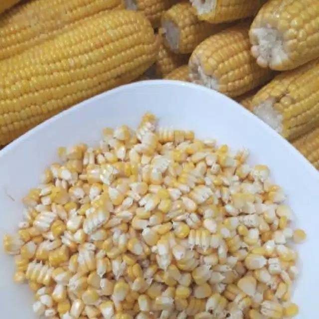 

Jagung Manis Pipil