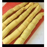 

Rebung Rebus Segar 500 gram