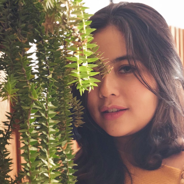ardinhaiputri