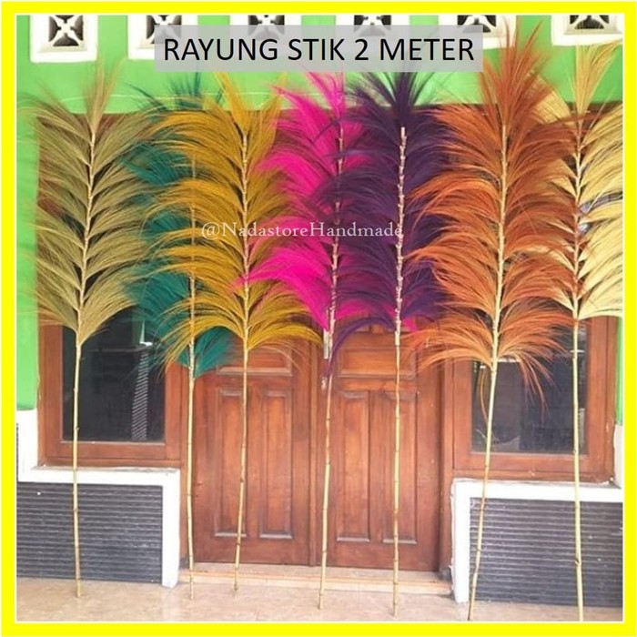 Rayung Stick / Bunga Kering / Dried flower / Bunga Hias / Natural Leaf Rayung Stick Pelangi Satuan