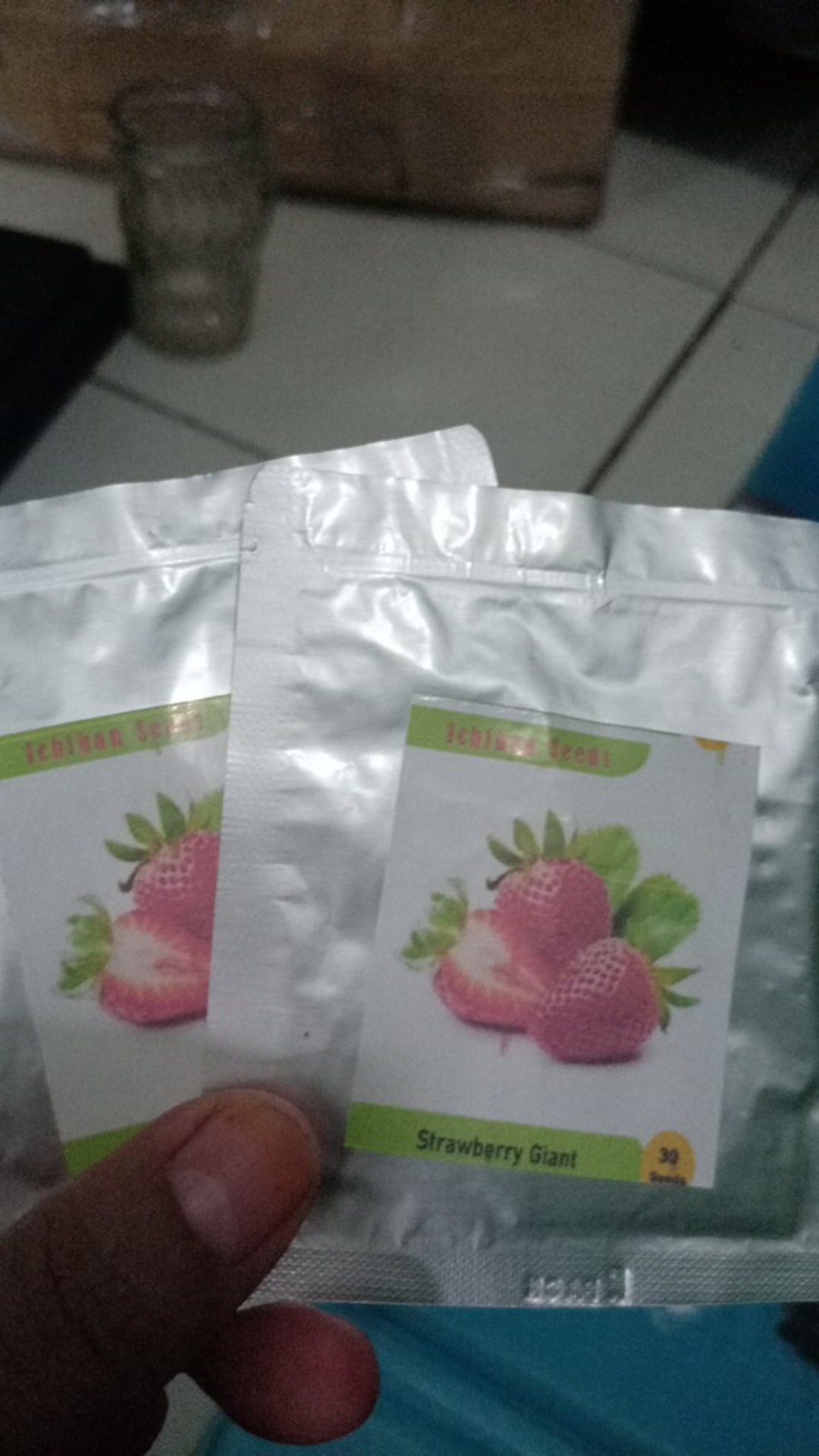 Benih Bibit Biji Strawberry Giant Raksasa Stroberi Strawberi