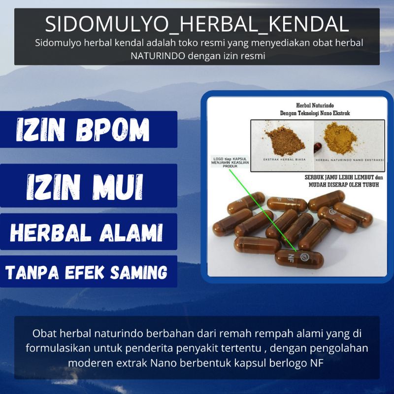 Obat bisul bernanah udun menahun bisul anak bisul di badan bernanah udun di pantat ampuh herbal