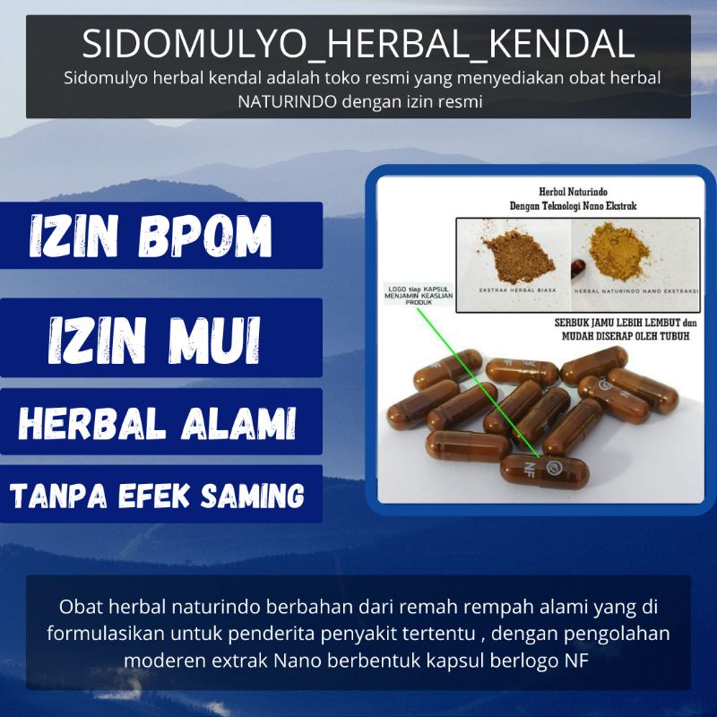 vitamin otak dewasa dan anak anak menambah konsentrasi dan daya ingat nutrisi dan vitamin otak anti pikun