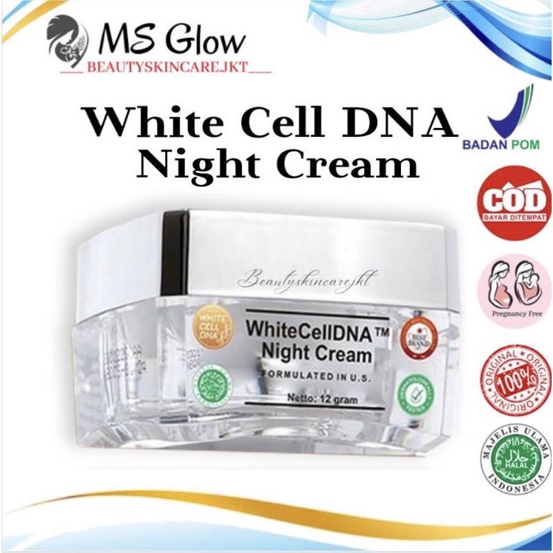 Ms Glow WhiteCellDNA Night Cream | Cream Malam Ms Glow