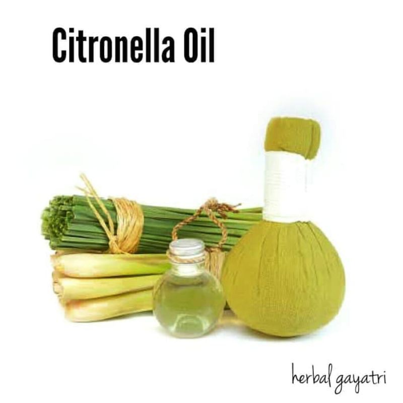 Citronella Oil / Minyak Sereh Wangi 1 Liter