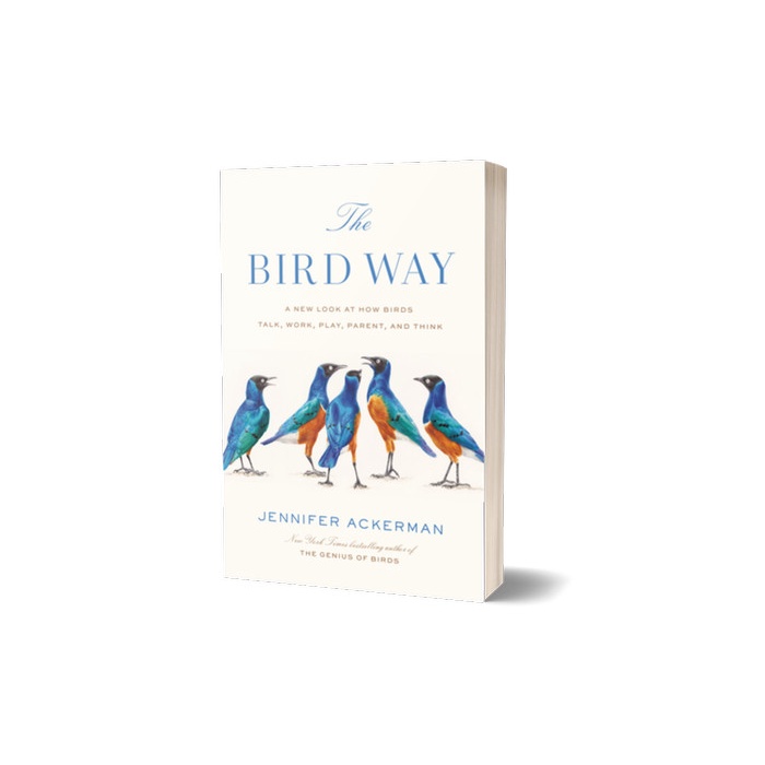 

The Bird Way