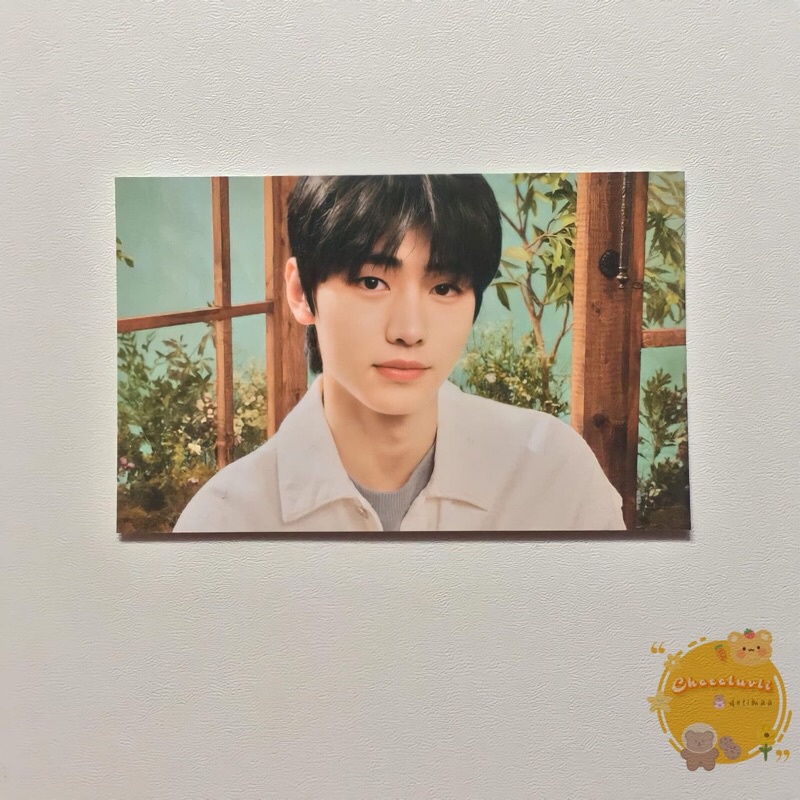 Tc Trading Card Basic Sunghoon