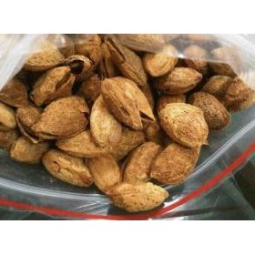 

Terfavorit 500gram Almond Roasted ( Kacang Panggang ) USA California in Shell bakar