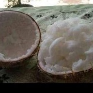 

Buah Kelapa Kopyor Enak Sueger Super Tebal Ukuran L