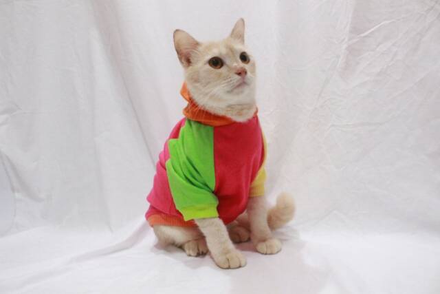 Kaos Jumper hoodie joker 1 untuk kucing dan anjing size S-XL / baju kucing terlaris 2019