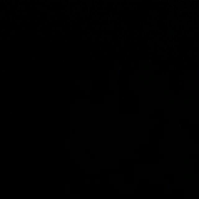 4 Stek Batang Atau Bibit/tanaman Cincau Hijau Banyak Manfaat