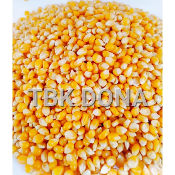 Jagung PopCorn 22.5 kg 1 Karung