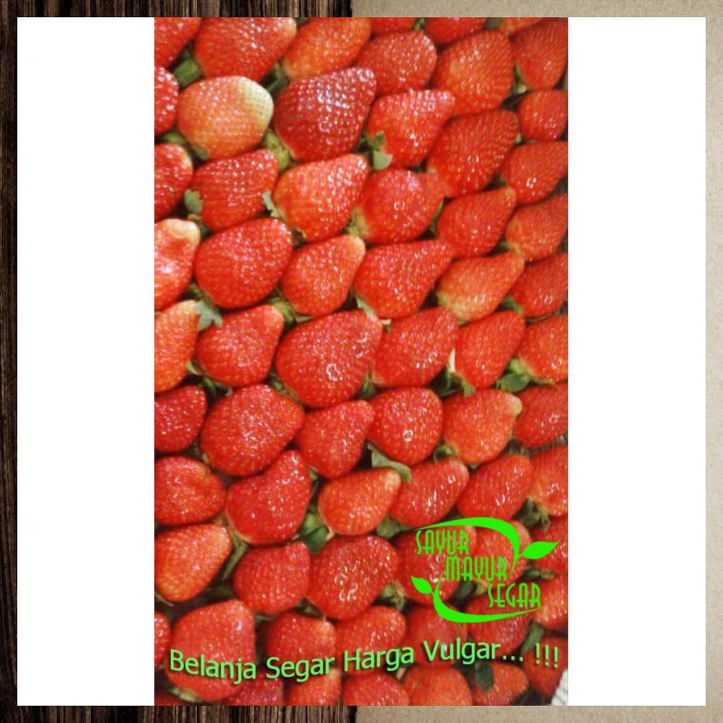 

STRAWBERRY PREMIUM BUAH FRESH DAN MANIS ( & ECERAN
