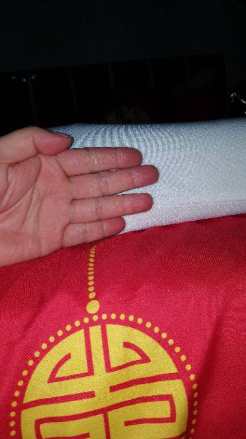 Sc Therapedic Ergonomic Latex Pillow