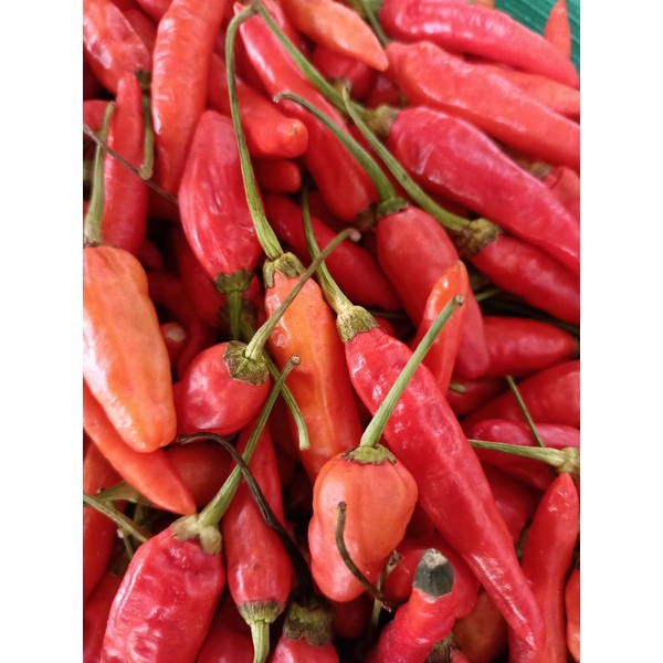 

Cabe Rawit Merah - 150gram
