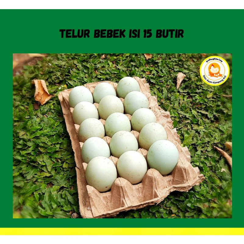 

Telur Bebek Isi 15 Pcs/Butir