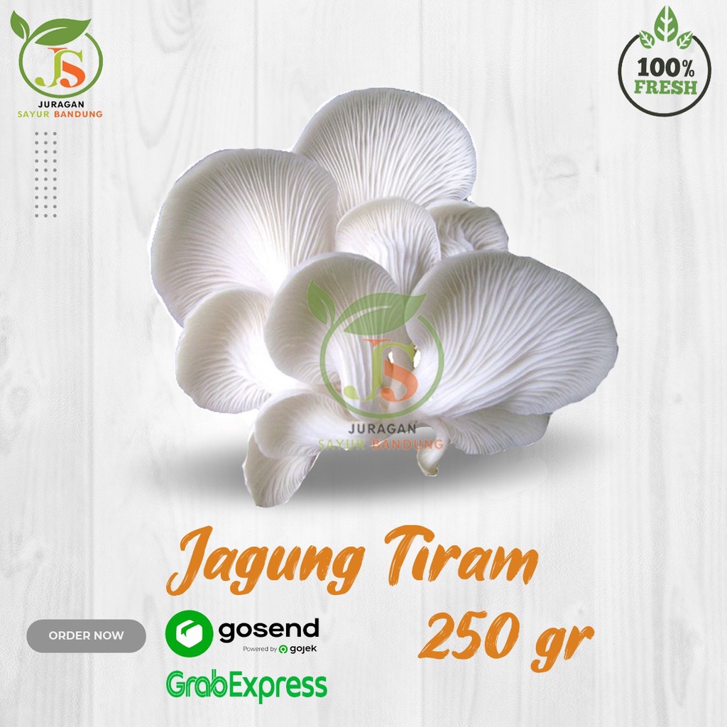 

Jamur Tiram 250gr