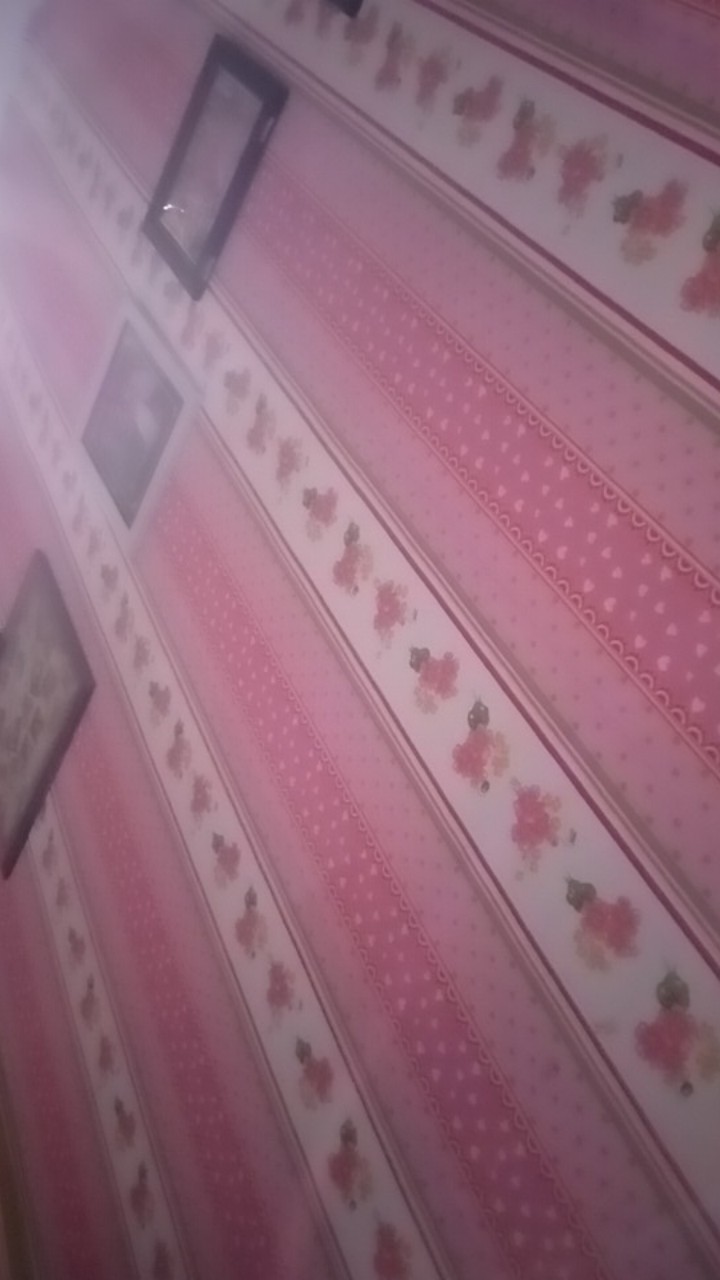 Wallpaper Dingding Karakter Dan Minimalis