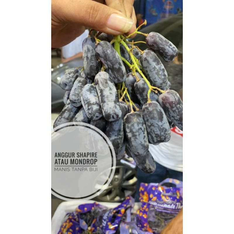 

Buah anggur black sapphire moondrop fresh