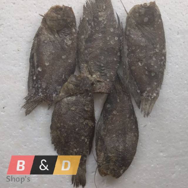 

Ikan Asin Sepat Sungai Super Netto 500 Gram.
