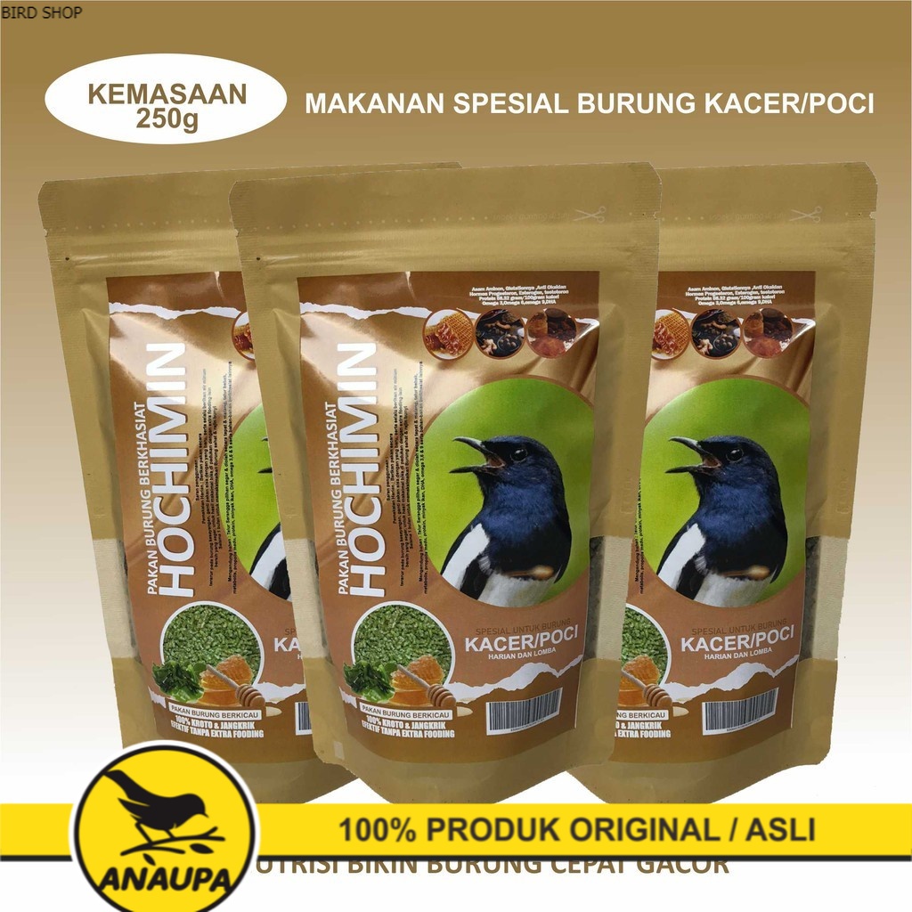 PAKAN BURUNG SPESIAL KHUSUS UNTUK KACER DAN POCI