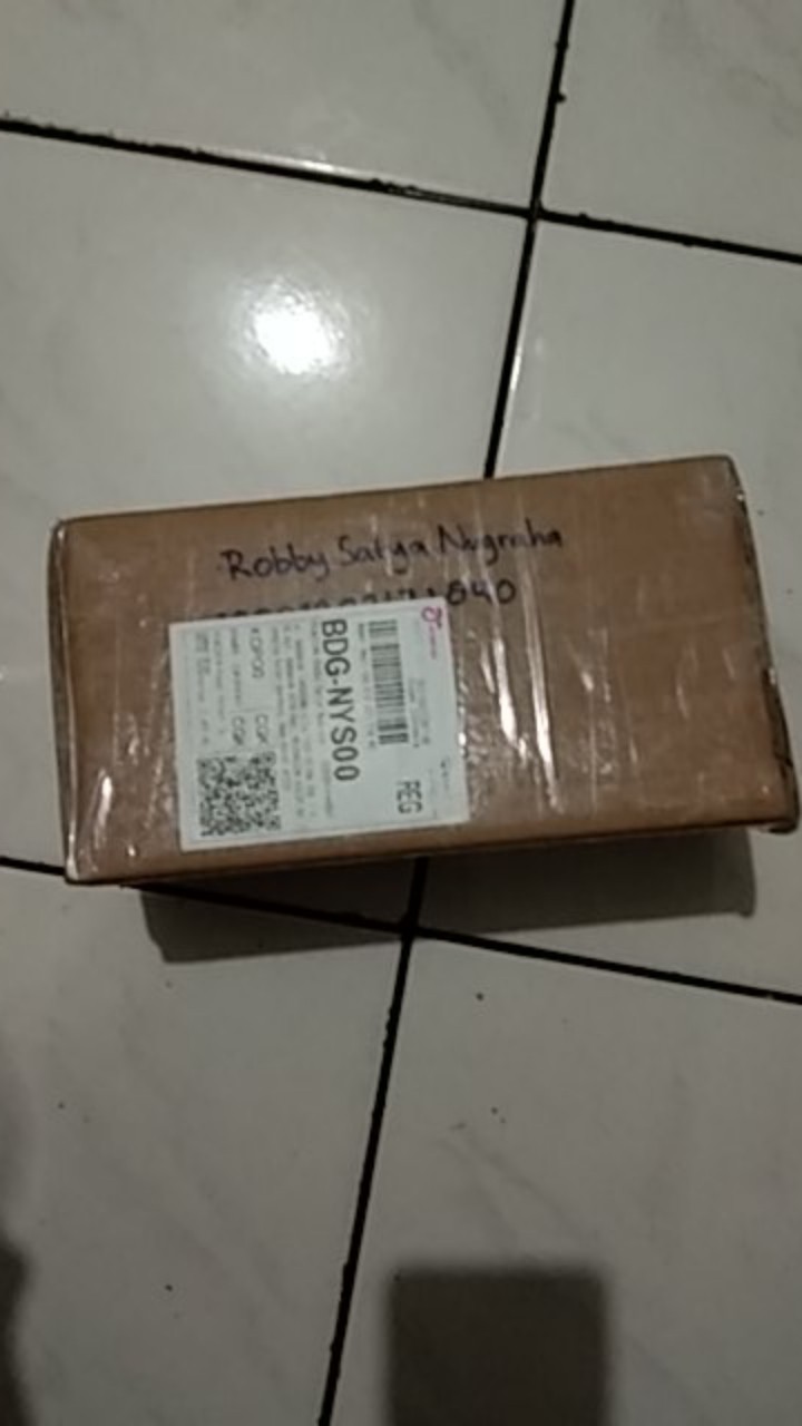 Bibit Aglonema Bonggol Sakuntala Pusat Petani Tanaman Hias