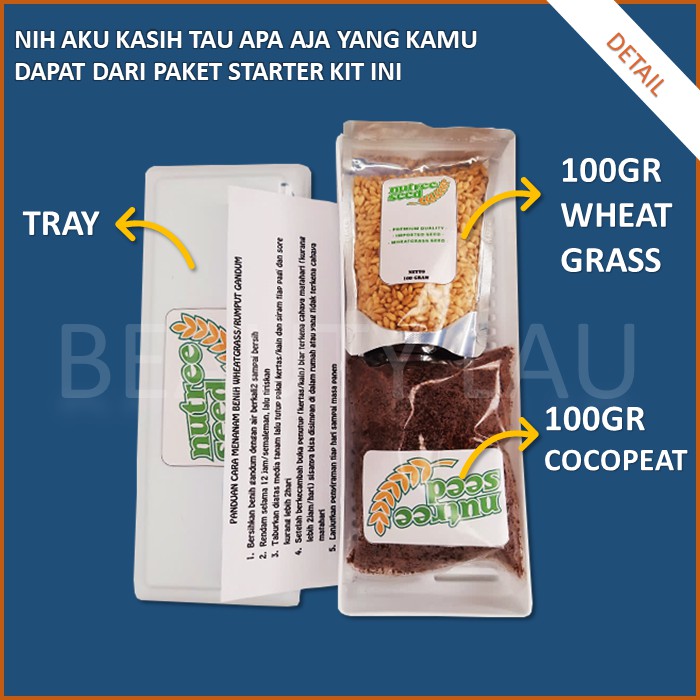 PAKET LENGKAP STARTER KIT WHEATGRASS MICROGREEN RUMPUT GANDUM KUCING