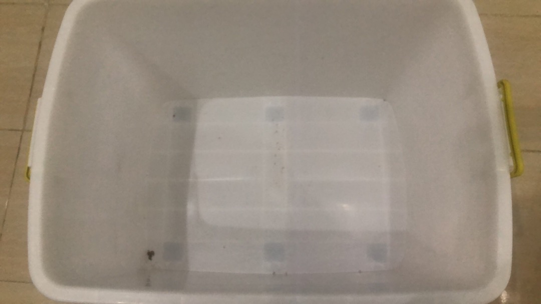 Container Box Roda 150 Liter Doremi / Boxer 150 Liter Baca Deskripsi Sebelum  Membeli