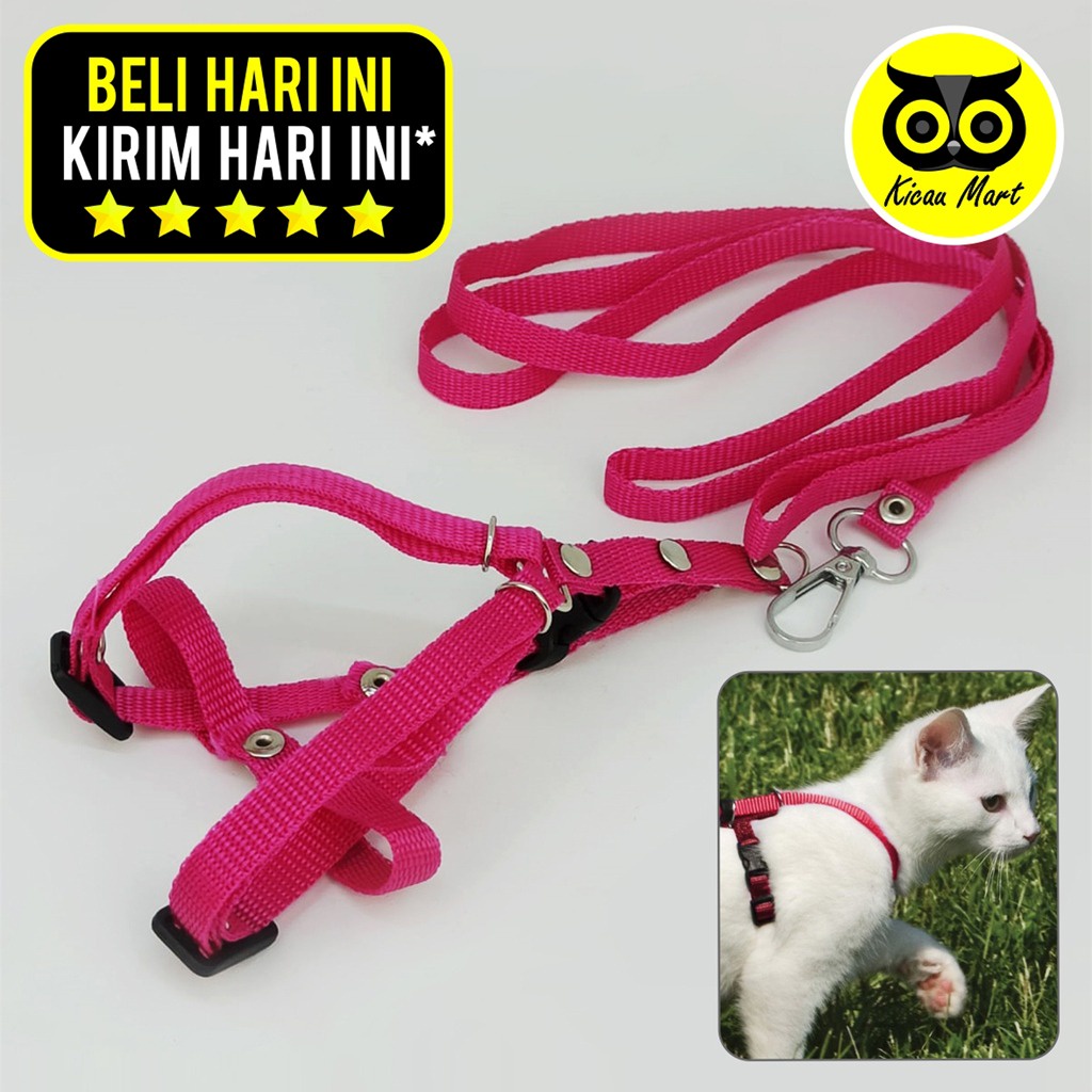 TALI TUNTUN KUCING MODEL Y HARNES HARNESS HERNES HARNESS KUCING BAJU KUCING TALI ANJING TALI MONYET TALI KELINCI TALI TUNTUN KALUNG KUCING KELINCI MUSANG MONYET CAT HARNESS KLCPY