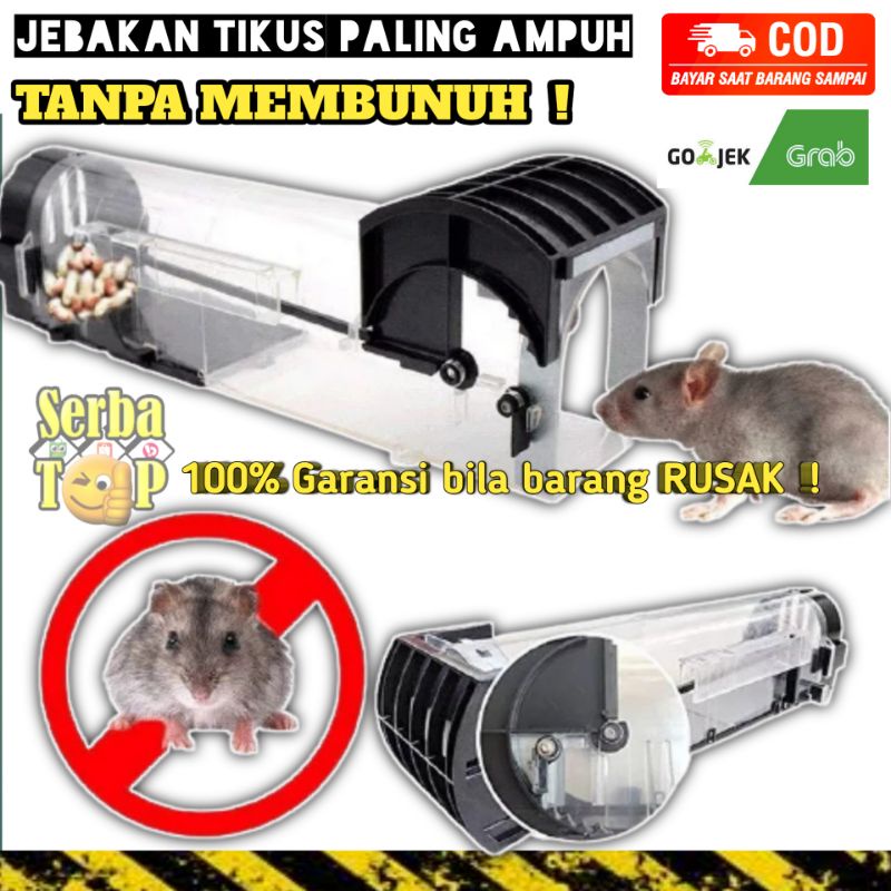 Perangkap Tikus Besar Ampuh Jebakan Tikus Perangkap Tikus Penangkap Tikus Mouse Trap Huntermoon Huntermon Alat Jebakan Tikus Alat Perangkap Tikus