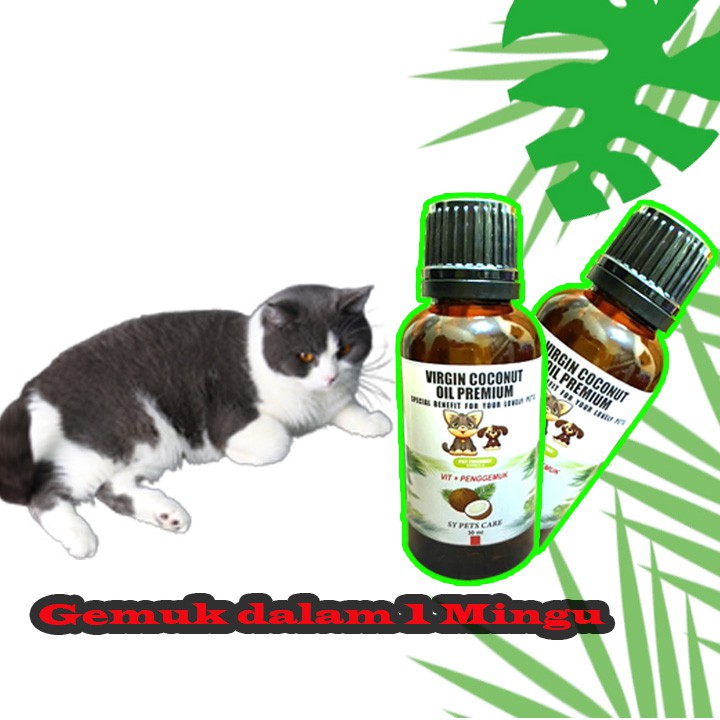 vitamin penambah nafsu makan kucing 30 ml