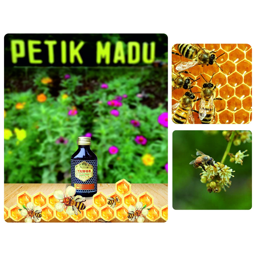 

Madu Murni Bunga Lengkeng 100 ml kemasan botol kaca