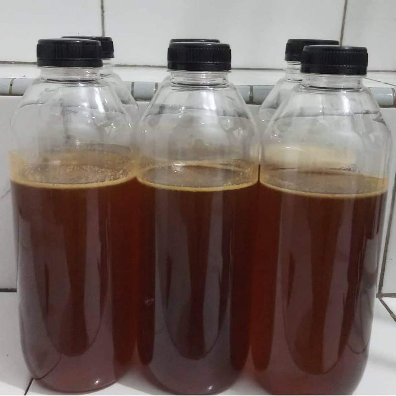 

madu hutan liar