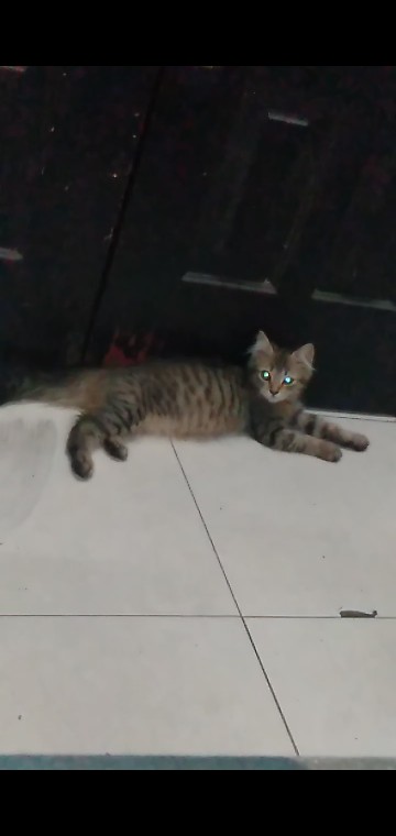 Facial Wash (produk Wajah)